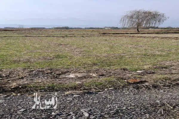 زمین کشاورزی بر خیابان اصلی دو نبش لشگرک - تصویر 2