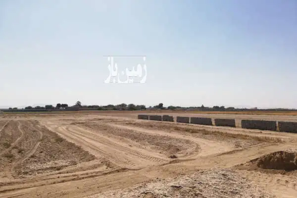 زمین باغ و کشاورزی چهاردیواری ۵۰۰۰ متر مربع - تصویر 3
