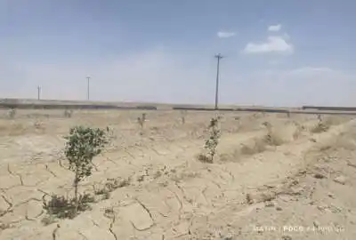 زمین باغ و کشاورزی چهاردیواری ۵۰۰۰ متر مربع