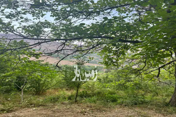 زمین ۳۰۰ متری مسکونی در روستای ییلاقی - تصویر 2