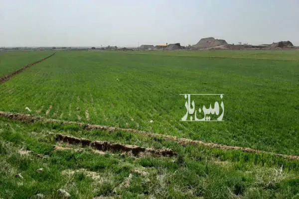 زمین نبش اتوبان قزوین به رشت با ۸۰ متر بر - تصویر 4