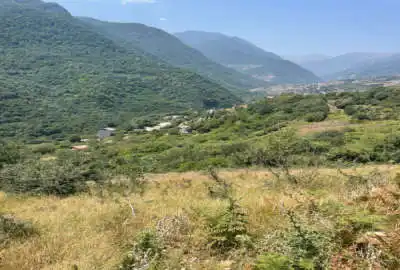 زمین ۲۶۰ متری با لوکیشنی عالی در دوهزار