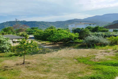 زمین مسکونی در روستای نصرت اباد تالش بخش حویق