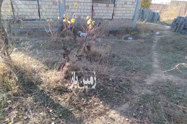 زمین مسکونی ۲۰۷ متری واقع در روستای گلی - تصویر 2