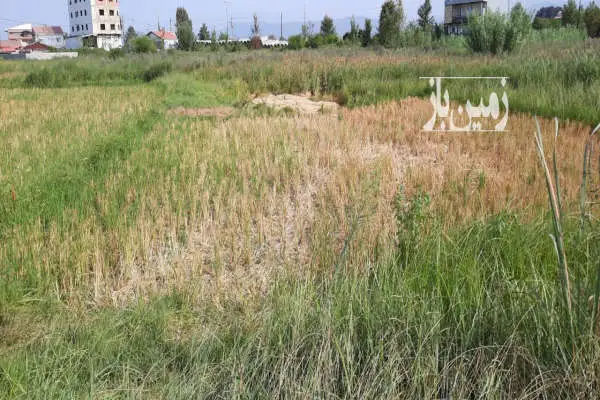 ۲۰۰ متر زمین مسکونی در کوچه خوش سیرت - تصویر 2