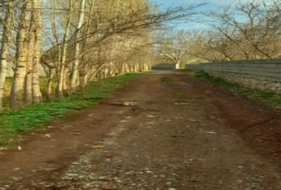باغ دارای آب جهت فروش یا معاوضه با منزل