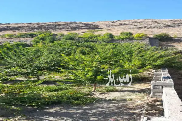 زمين و باغ با استخر جاده خلج روستاى اردمه مغان - تصویر 2
