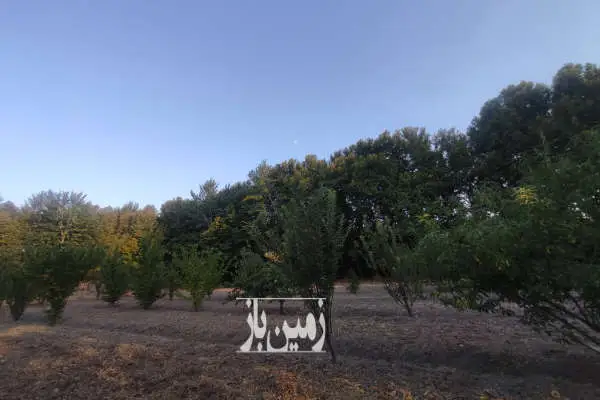 باغ در روستای شاه قطب الدین بیضا دارای سهمیه چاه آب - تصویر 2