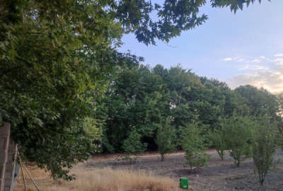 باغ در روستای شاه قطب الدین بیضا دارای سهمیه چاه آب