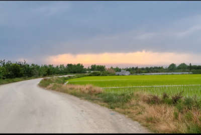 زمین کشاورزی در روستای اسکنده با امکانات کامل نزدیک