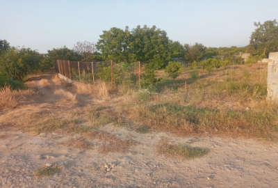 زمین باغ کشاورزی مناسب خانه سرا روستای معلم کلا