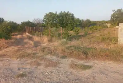 زمین باغ کشاورزی مناسب خانه سرا روستای معلم کلا