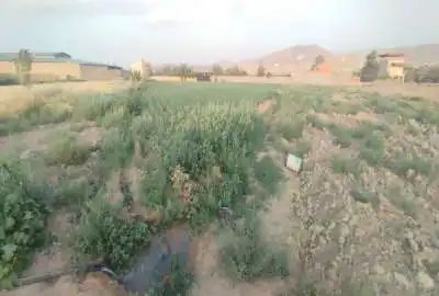 زمین کشاورزی در روستای خوش منظر