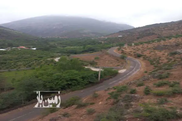 زمین باغی روستایی بر جاده اصلی کجور روستای سما - تصویر 2