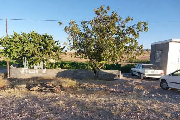 باغ انگور کشمشی با نیم ساعت آب ملکی در جاده روستای کلوخی - تصویر 3