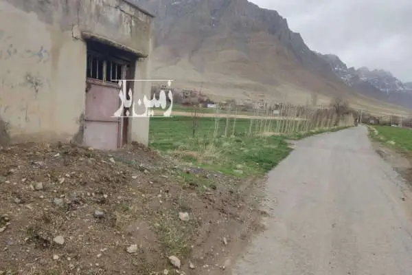 زمین باغی یک هکتاری در روستای اسکان - تصویر 2