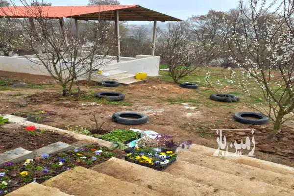 زمین زراعی در فاصله کم تا بافت روستای پهنه کلا - تصویر 2
