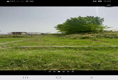 زمین مسکونی سند تک برگ خزر ۶ فاصله با دریا ۳ دقیقه با تمامی انشعابات