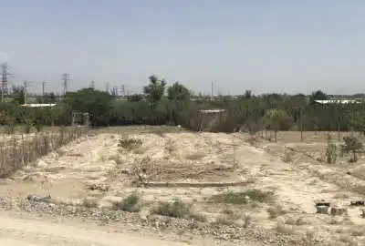 زمین باغچه جاده درختی روبروی مرجان آباد با نگهبانی