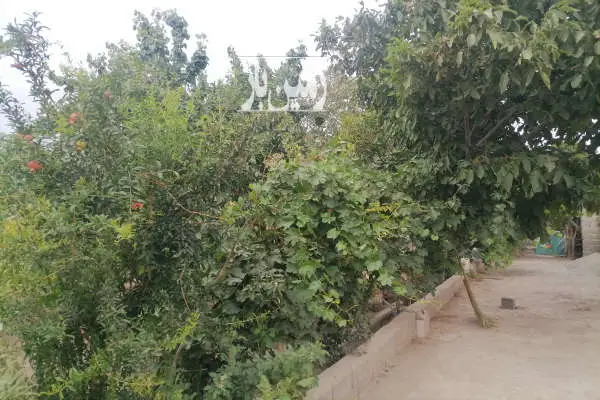 باغچه فروشی ۶۰۰ متر در رزکان شهریار - تصویر 2
