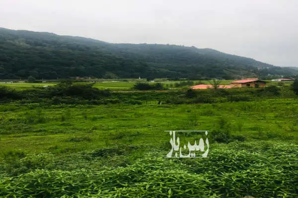 زمین مسکونی واقع درروستای بکروجنگلی کارسالار - تصویر 3