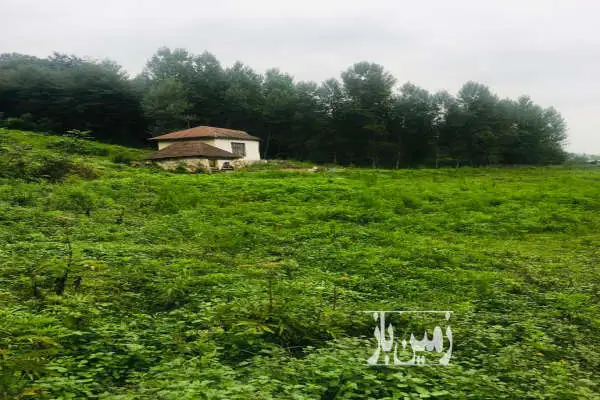 زمین مسکونی واقع درروستای بکروجنگلی کارسالار - تصویر 4
