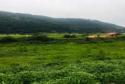 زمین مسکونی واقع درروستای بکروجنگلی کارسالار