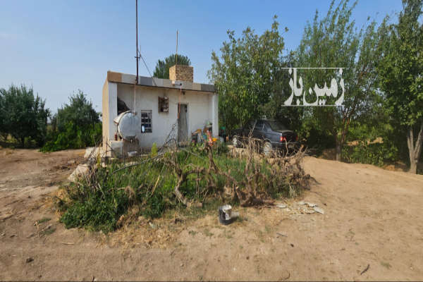 یک هکتار باغ انگور بیدانهگردو پیوندی بادام خوشه ای-2