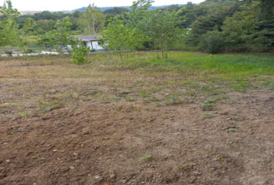زمین کشاورزی در روستای سانخیل بلوارکشاورز