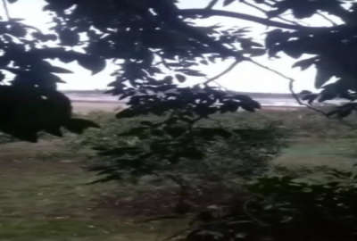 باغ مرکبات در ارتفاعات روستای ابندانکش با یک اتاقک