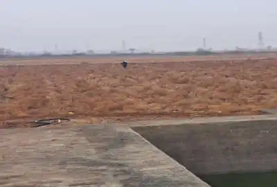 زمین کشاورزی همراه با چاه آب مجاز ۲۶ هکتار دامداری