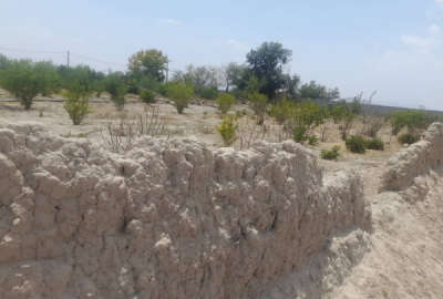 زمین باغی دونبش در روستای اسپارت با دیوار گلی