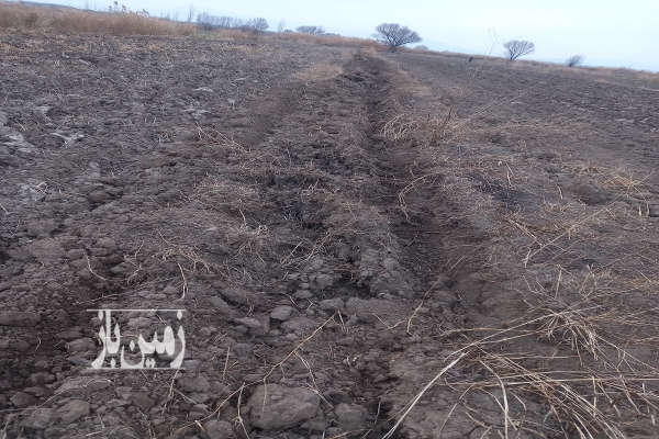 زمین زراعی ۷۰۰۰ متر مربع خاک مرغوب در روستای احمد آباد-1