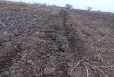 زمین زراعی ۷۰۰۰ متر مربع خاک مرغوب در روستای احمد آباد