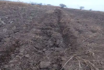 زمین زراعی ۷۰۰۰ متر مربع خاک مرغوب در روستای احمد آباد