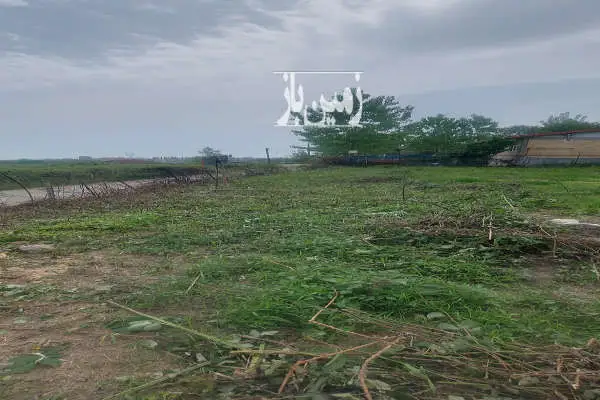 زمین مناسب ساخت ویلا در روستای چوبر کنار خیابان آسفالت - تصویر 2