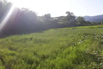 زمین مناسب ساخت ویلا در روستای چوبر کنار خیابان آسفالت