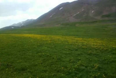 زمین مسکونی در خاکشان مناسب ویلا آب و هوای خوب