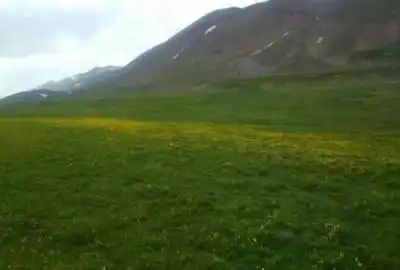 زمین مسکونی در خاکشان مناسب ویلا آب و هوای خوب