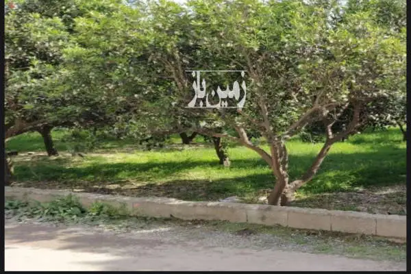 زمین ۱۶۶ متری مسکونی روستای خردونکلا - تصویر 2