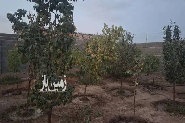 یک قطعه زمین چهار دیواری باغی به مساحت ۴۰۰ مترمربع - تصویر 2