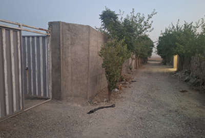 یک قطعه زمین چهار دیواری باغی به مساحت ۴۰۰ مترمربع