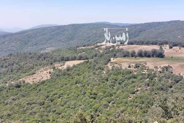 باغ هلو و گردو روستای ملاحسن سند تکمیل محیط آرام-3