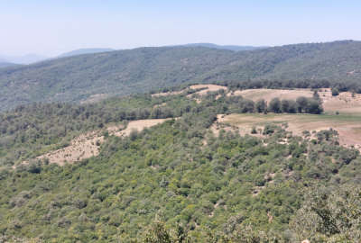 باغ هلو و گردو روستای ملاحسن سند تکمیل محیط آرام