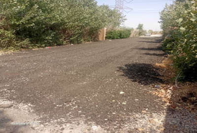 زمین کشاورزی پرچین با درب ورودی و درخت های ۵ ساله