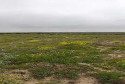 زمین زراعی و باغی مناسب برای ساخت ویلا حدود یک هکتار
