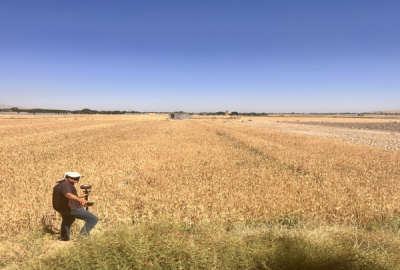 زمین کشاورزی ۱۰۰۰ متری روستای طاد