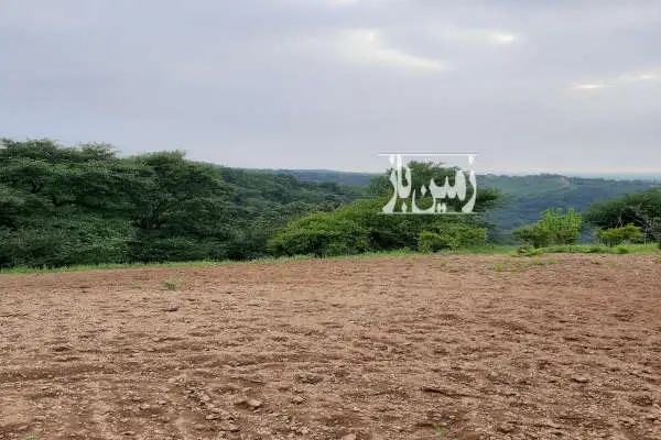 زمین در بالاترین نقطه شهر جفت جنگل رو به دریا با ویو بسیار زیبا - تصویر 2