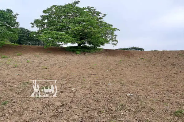 زمین در بالاترین نقطه شهر جفت جنگل رو به دریا با ویو بسیار زیبا - تصویر 4