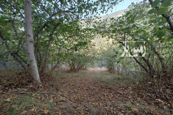زمین مسکونی ۳۰۰ متری روستای نرس دوهزار - تصویر 2